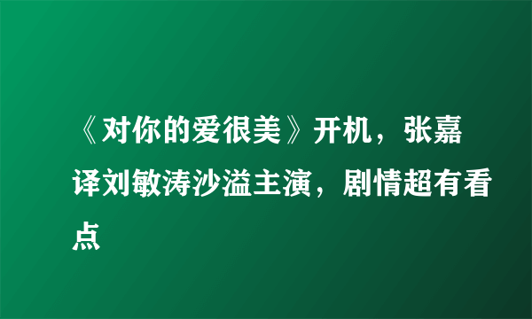 《对你的爱很美》开机，张嘉译刘敏涛沙溢主演，剧情超有看点