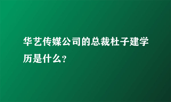 华艺传媒公司的总裁杜子建学历是什么？