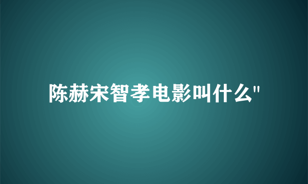 陈赫宋智孝电影叫什么