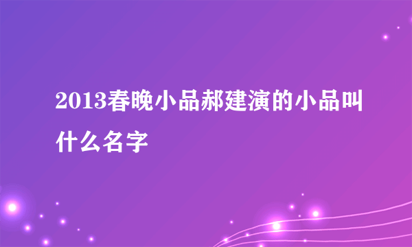 2013春晚小品郝建演的小品叫什么名字