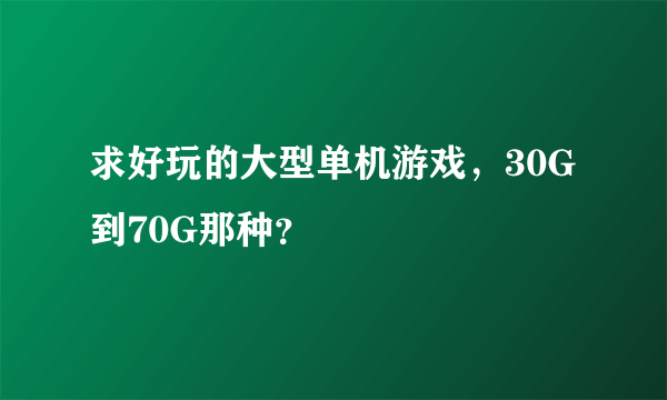 求好玩的大型单机游戏，30G到70G那种？