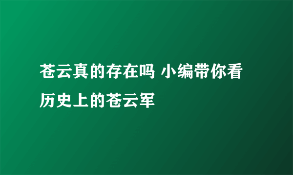 苍云真的存在吗 小编带你看历史上的苍云军