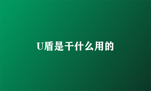 U盾是干什么用的