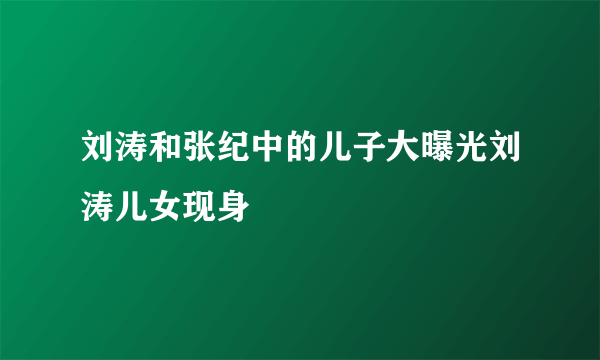 刘涛和张纪中的儿子大曝光刘涛儿女现身