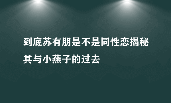 到底苏有朋是不是同性恋揭秘其与小燕子的过去