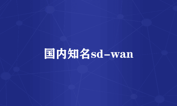 国内知名sd-wan