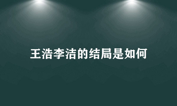 王浩李洁的结局是如何