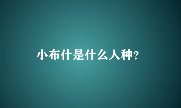 小布什是什么人种？