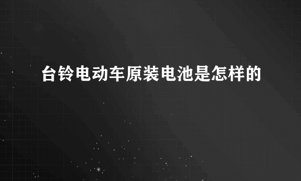 台铃电动车原装电池是怎样的