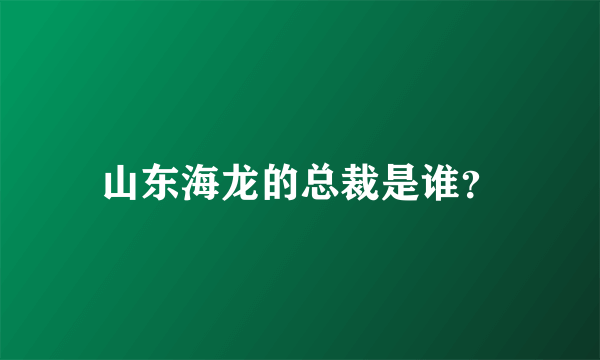 山东海龙的总裁是谁？