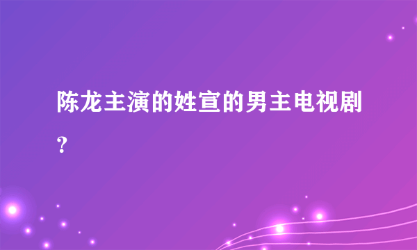 陈龙主演的姓宣的男主电视剧？