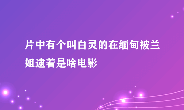 片中有个叫白灵的在缅甸被兰姐逮着是啥电影