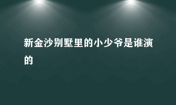 新金沙别墅里的小少爷是谁演的