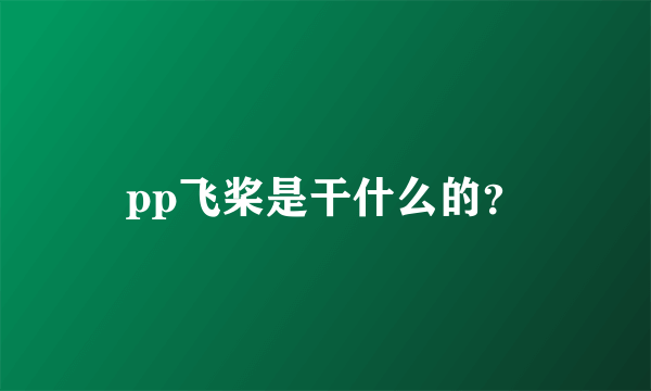 pp飞桨是干什么的？