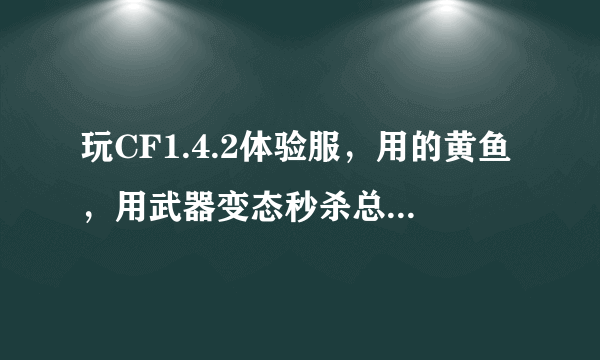 玩CF1.4.2体验服，用的黄鱼，用武器变态秒杀总是错误代码，怎么办啊