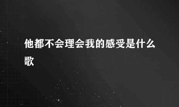 他都不会理会我的感受是什么歌