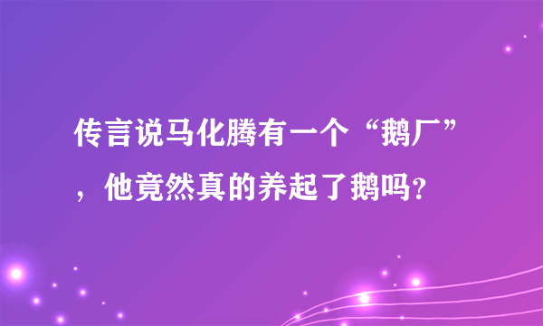 传言说马化腾有一个“鹅厂”，他竟然真的养起了鹅吗？