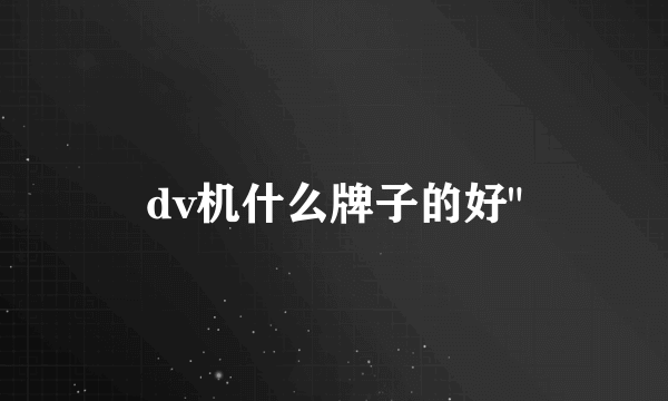 dv机什么牌子的好