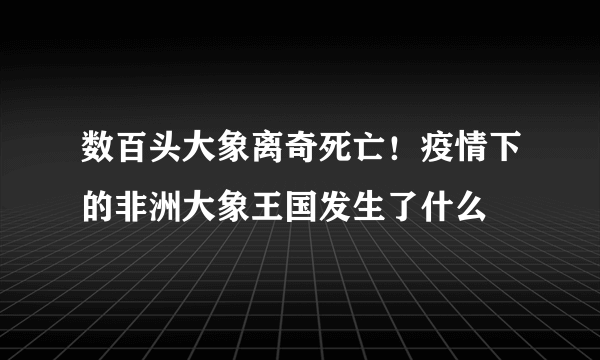 数百头大象离奇死亡！疫情下的非洲大象王国发生了什么