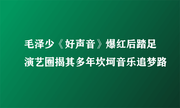 毛泽少《好声音》爆红后踏足演艺圈揭其多年坎坷音乐追梦路