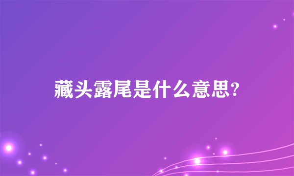 藏头露尾是什么意思?