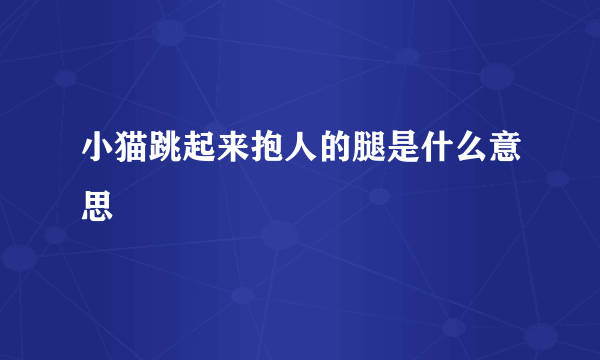 小猫跳起来抱人的腿是什么意思