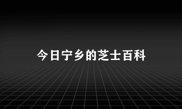 今日宁乡的芝士百科