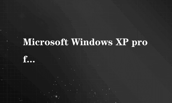 Microsoft Windows XP professional是什么意思