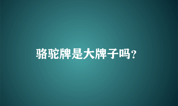 骆驼牌是大牌子吗？