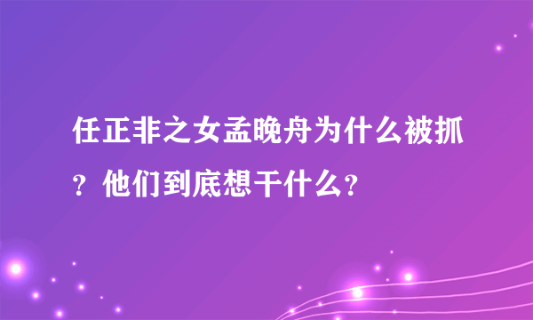 任正非之女孟晚舟为什么被抓？他们到底想干什么？