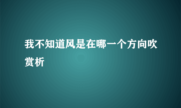 我不知道风是在哪一个方向吹赏析