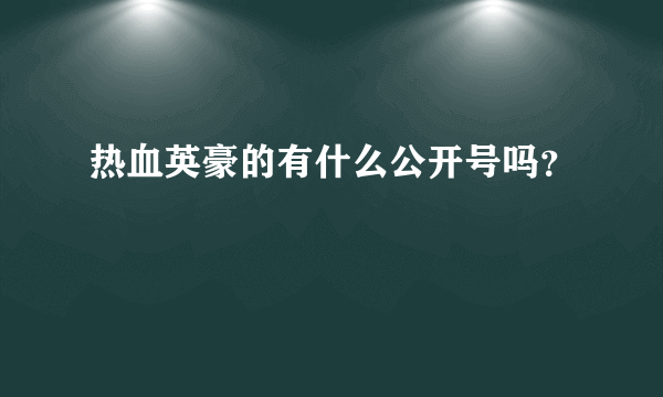 热血英豪的有什么公开号吗？