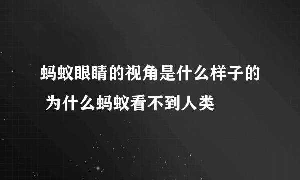 蚂蚁眼睛的视角是什么样子的 为什么蚂蚁看不到人类