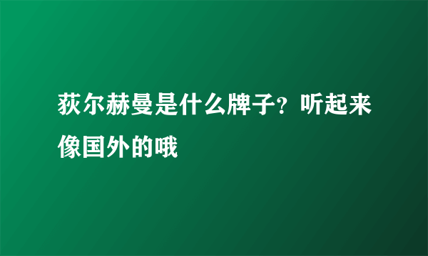 荻尔赫曼是什么牌子？听起来像国外的哦