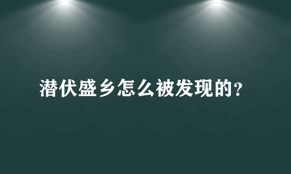 潜伏盛乡怎么被发现的？