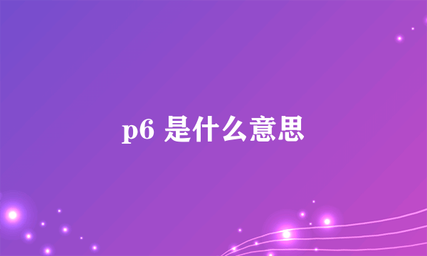 p6 是什么意思