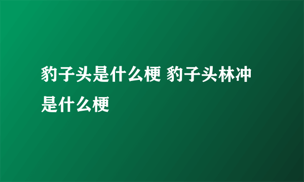 豹子头是什么梗 豹子头林冲是什么梗