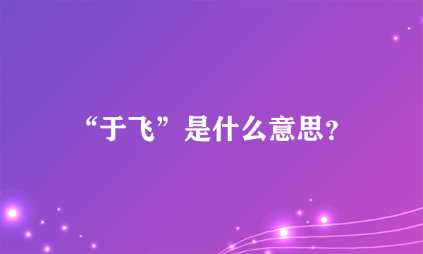 “于飞”是什么意思？