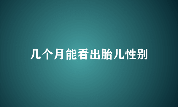 几个月能看出胎儿性别