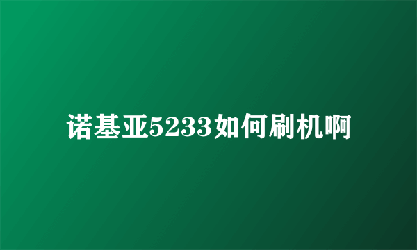 诺基亚5233如何刷机啊