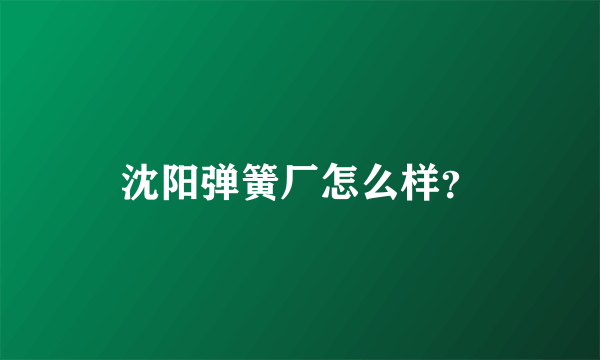 沈阳弹簧厂怎么样？