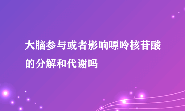 大脑参与或者影响嘌呤核苷酸的分解和代谢吗