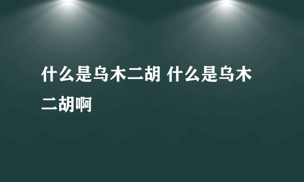 什么是乌木二胡 什么是乌木二胡啊