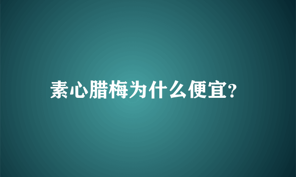 素心腊梅为什么便宜？