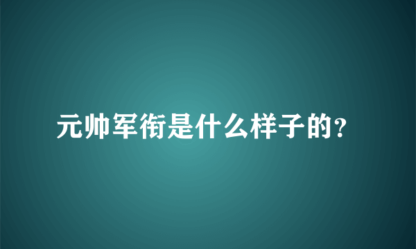 元帅军衔是什么样子的？