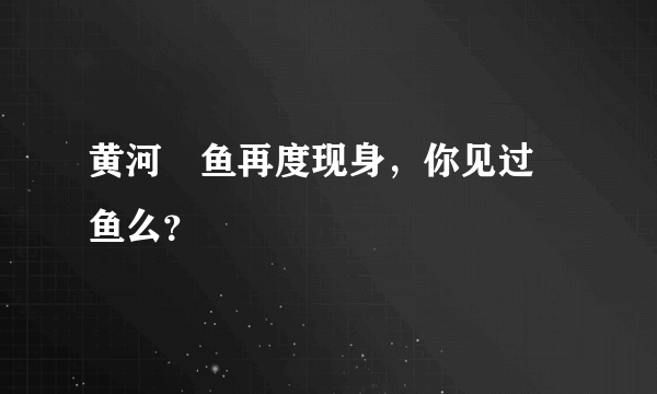 黄河鱽鱼再度现身，你见过鱽鱼么？