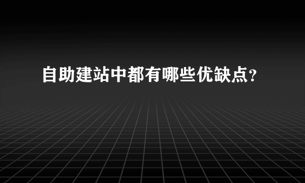 自助建站中都有哪些优缺点？