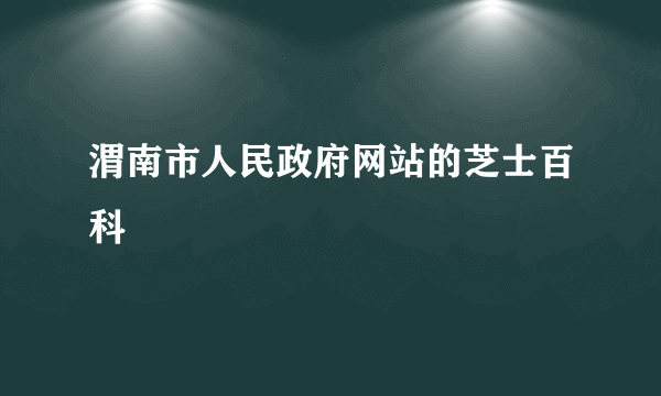 渭南市人民政府网站的芝士百科