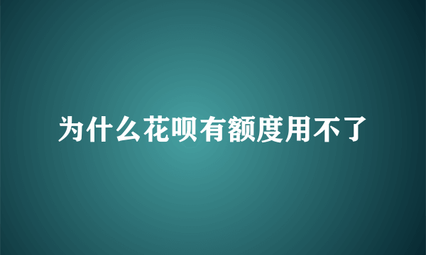 为什么花呗有额度用不了