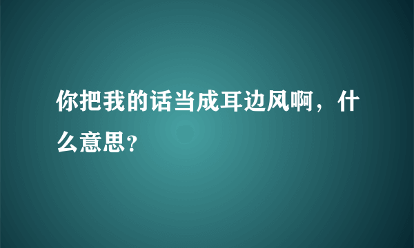 你把我的话当成耳边风啊，什么意思？